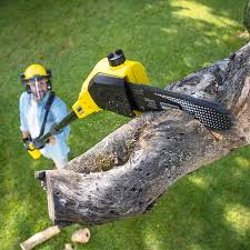 Professional  Tree Services in La Croft, OH